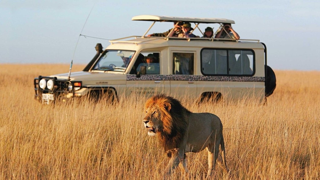 Tanzania Safari